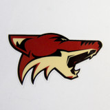 Phoenix Coyotes